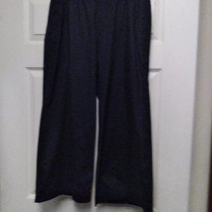 Eileen Fisher L pants Navy NWT org. $188 Organic Cotton Stretch Poplin 14 in leg